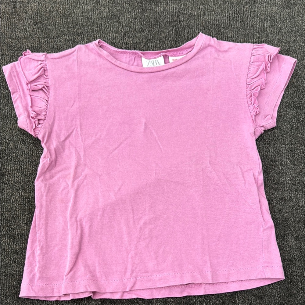 Zara Pink/Purple Ruffle Sleeve Top